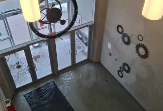 突发水浸！安省知名大学积水没脚，实验室天花板滴水，考试打乱