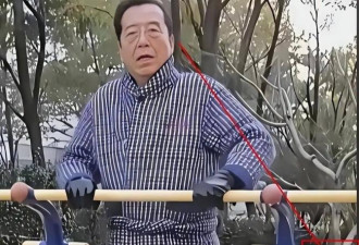 李双江近况：小县城奔波接商演 身边还有轮椅