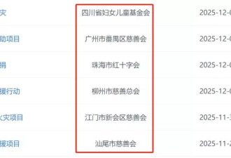 两个多月过去了，大家捐给大埔火灾的钱去哪儿了？