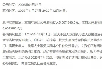 两个多月过去了，大家捐给大埔火灾的钱去哪儿了？