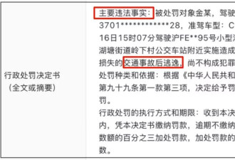 金晨处罚结果曝光！肇事逃逸被罚1500元