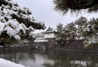 关东罕见大雪 东京积雪4公分 日本选民冒雪投票