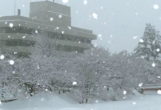 大选日寒流狂炸日本！东京积雪5cm 全国45死
