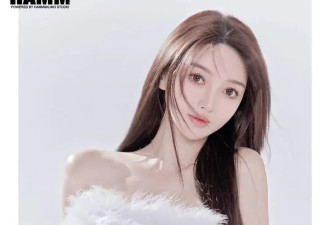 从“微do”到“带娃崩溃”：叶珂为何无法成为第二个Angelababy？