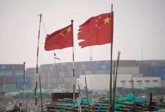 中国经济有多惨？中共智库说实话了
