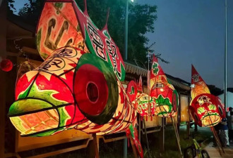 离开上海和东京，在乡村生活和生产的00后