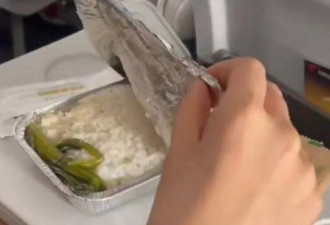 吐槽飞机餐“一根青菜配米饭”上热搜！当事人揭真相