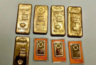 华人厨师沦为“黄金钱骡”涉案800万美元 或被遣返