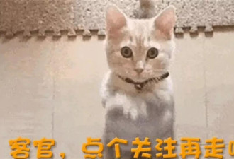 丈夫失联7年,52岁颜面尽失的王艳,如今靠19岁的儿子给她争光