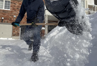 没完了! 大多伦多新一轮20cm暴雪杀到! 还有多轮降雪持续至3月