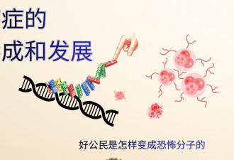 癌症的形成和发展:"好公民"是如何变成"恐怖分子"