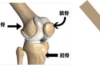 上楼与下楼，谁才是膝盖的“隐形杀手”？