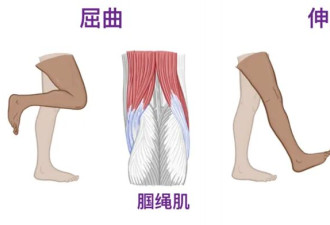 上楼与下楼，谁才是膝盖的“隐形杀手”？