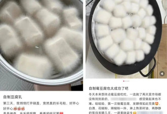 霉豆腐火了 跟风自制的“霉豆腐”能放心吃吗？