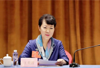 任上被查，内蒙古原主席王莉霞被“双开”
