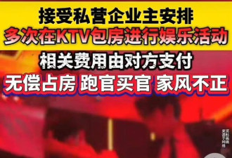 KTV包房里的副市长，她到底有多大胆