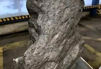 炸锅：重两吨，俄截获中国45亿年前珍贵国宝