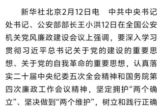 网传王小洪真实病因与接任人选