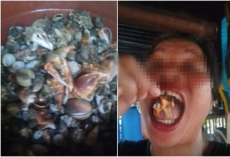 美食网红拍片狂嗑海鲜 误食“魔鬼蟹”身亡