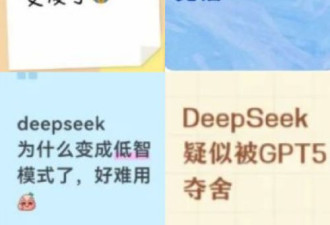 DeepSeek更换新版后彻底“变傻” 网络炸锅