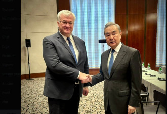 乌克兰外长称与中国外长讨论了“和平努力”