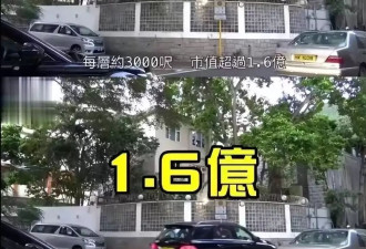 郭晶晶夫妇合体拜年，1.6亿豪宅摆680蝴蝶兰