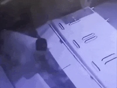劫匪开叉车撞烂金店大门 最后却骑驴逃跑