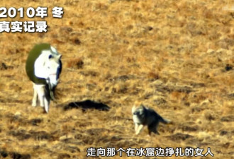 突然翻红，看哭全网，但已离世