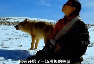 突然翻红，看哭全网，但已离世
