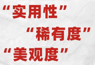 围观了北京第一届黑色羽绒服大赛，我笑疯了