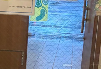 不是防盗 为何日本饭店门窗玻璃常有铁丝网