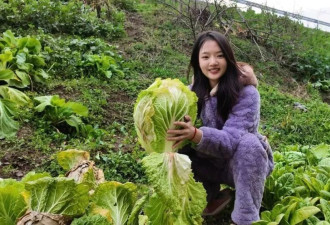 明星回村,全员"出厂设置":任敏拔白菜,程莉莎赶大集,太真实