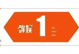 47岁杨乐乐住在乡下小镇,嫁给汪涵后她爱上了赶鸭子的生活