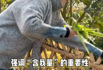 47岁杨乐乐住在乡下小镇,嫁给汪涵后她爱上了赶鸭子的生活