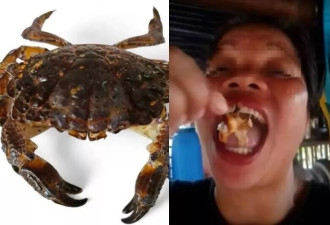 网红拍吃播大啖海鲜误食“恶魔蟹” 中毒抽搐2天后身亡
