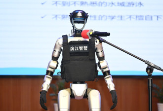 中国人形机器人，谁在买？