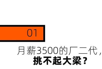 全网最惨人设:月薪3500的“厂二代”