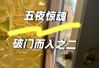加拿大抢劫射杀不断！我家车刚被烧毁，邻居家就被入室抢劫