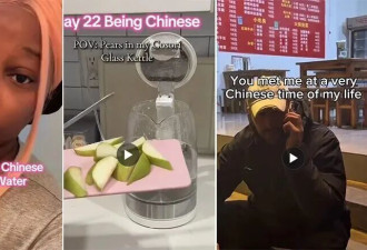 “极致中国化”在海外大火 是什么来头?