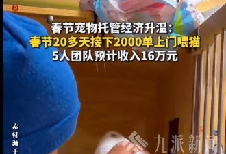 上海一店主春节上门喂猫预计收入16万：日均睡眠3小时