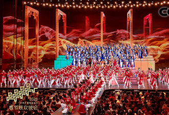 视频：CCTV总台2026年春节联欢晚会节目分集回顾