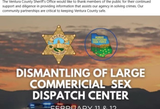 2华男被捕 经营卖淫网站调度60女性 遍布30处民宅酒店