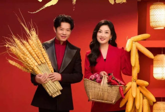 马年春晚收视破39%！最高点超蛇年