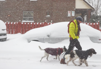 预计降雪量达15厘米+5毫米冰雨，大多伦多地区发布冬季风暴预警