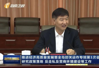 全岛封关后，这一新的领导小组已对外亮相