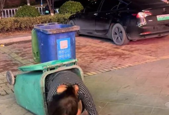 深夜，温州女子当街出丑！丢人啊