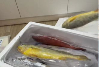 一篮青菜竟换来满满一大箱海鲜！女子感慨
