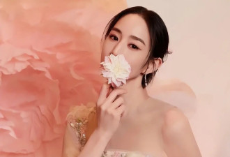 张钧甯粉裙写真性感撩人！被赞从画中走出的仙女