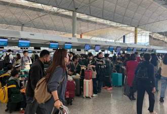 这个春节，许多回国朋友带回的消息出奇一致