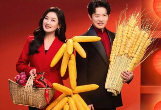 马年春晚收视出炉：最高点是凤凰传奇贡献的